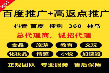 某公司网站sem托管项目纪实